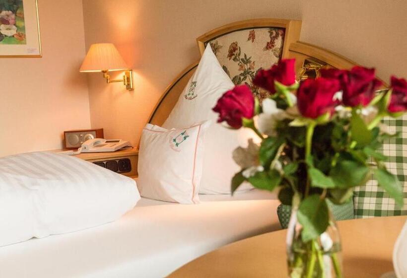 舒适型单人间, Garden Hotel Reinhart