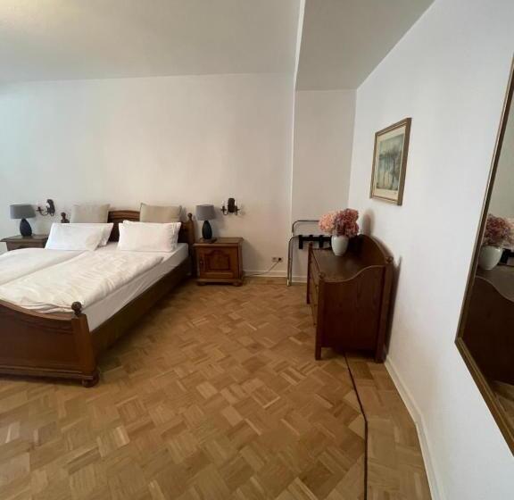 标准工作室带阳台, Alte Muhle