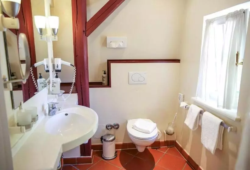 Standard-huone, Altstadthotel Twardokus