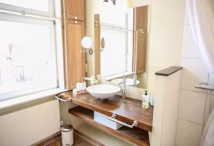 Superior Yhden Hengen Huone, Altstadthotel Twardokus