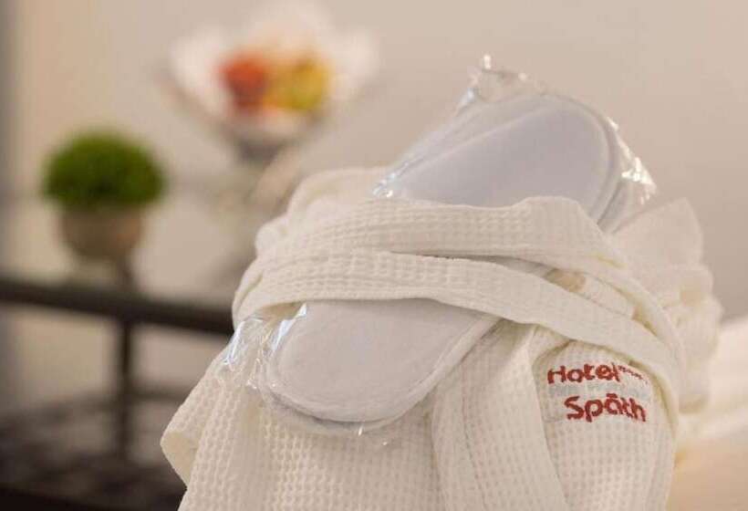 スタンダードルーム, Am Kurpark Spath