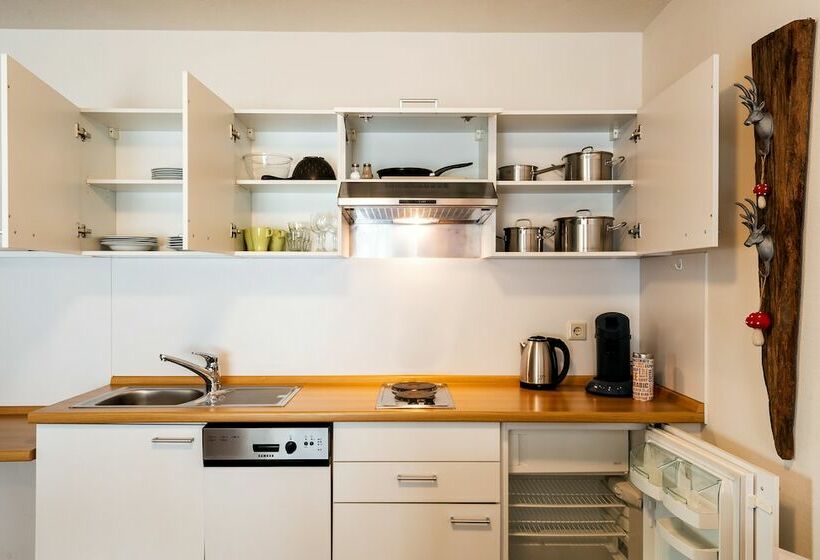 Апартаменты 2 спальни Вид на Сад, Apparthotel Steiger Bad Schandau