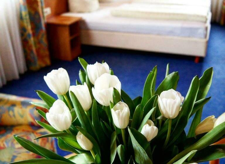 Номер Стандарт, Cafe Rathaus