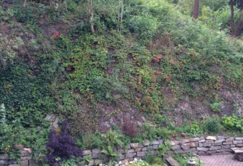 חדר סטנדרט יחיד, Landhotel Menke