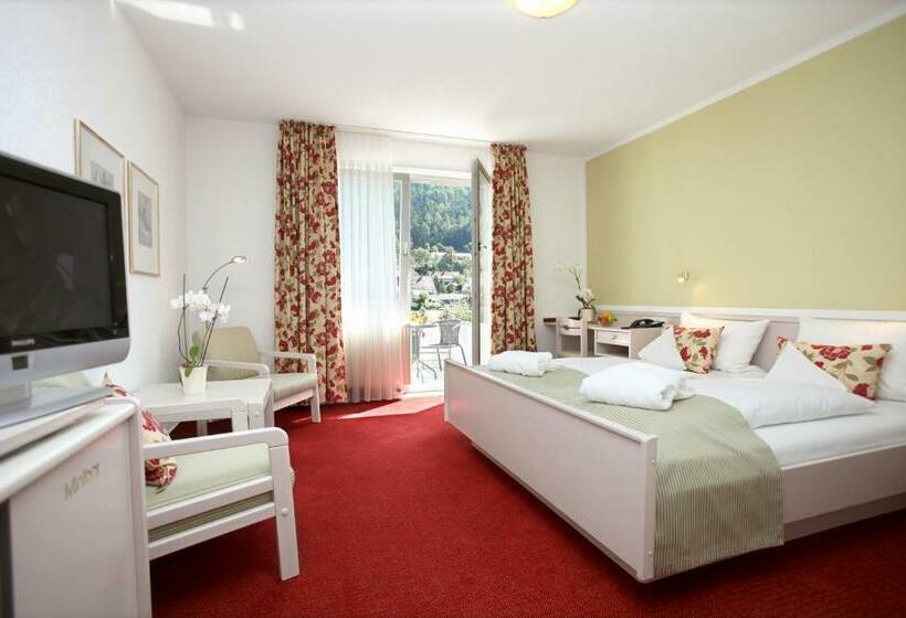 スタンダードルーム, Traube Revital