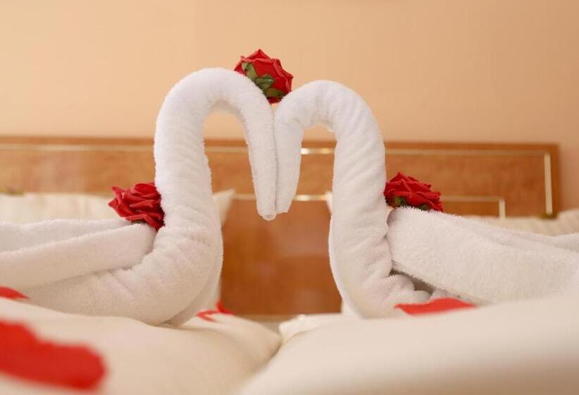 标准单人间, Wincent