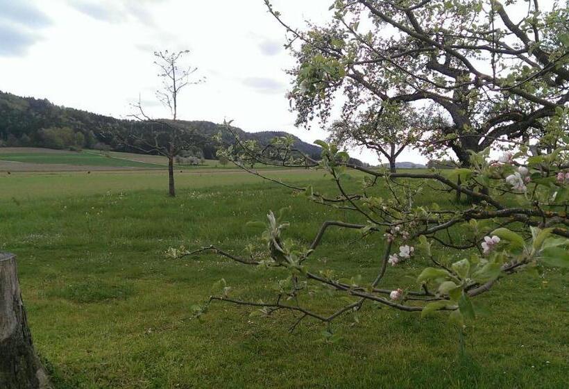 スタンダードルーム, Zapa