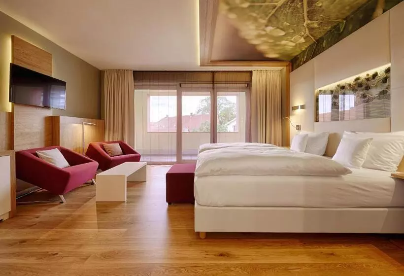 デラックスルーム, Kaisergarten Hotel Deidesheim