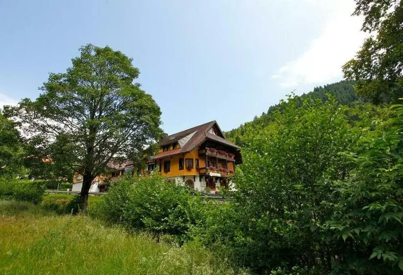 スタンダードシングルルーム, Gasthaus Hirschen