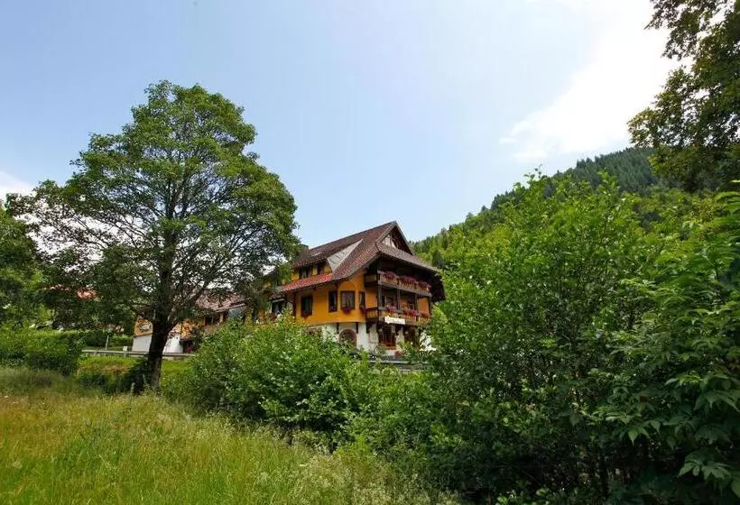 バルコニー付きスタンダードルーム, Gasthaus Hirschen