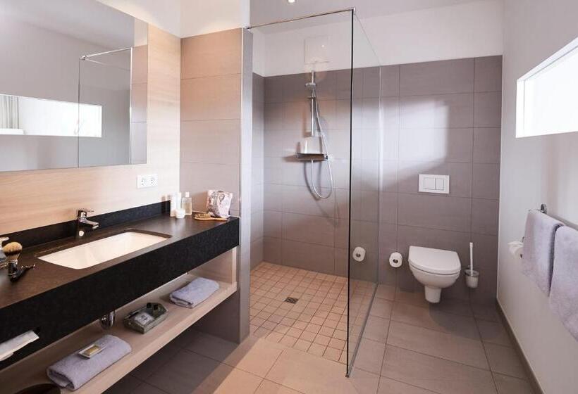 Номер Стандарт Вид на Озеро, Seehotel Kressbronn