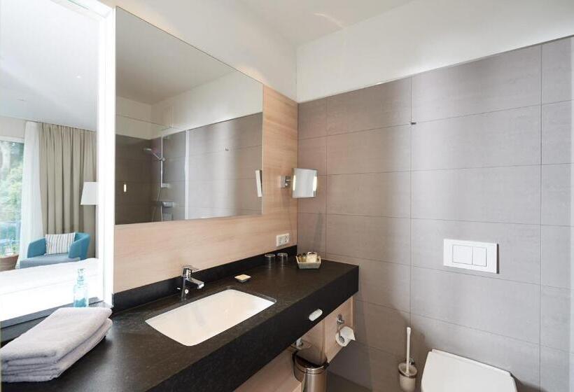 Номер Стандарт Индивидуальный, Seehotel Kressbronn