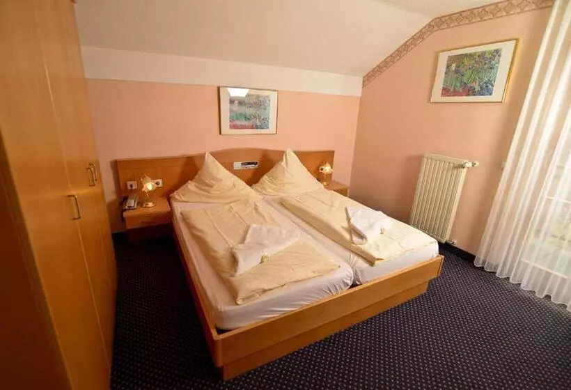 اتاق استاندارد, Ferienhotel Rothbacher Hof