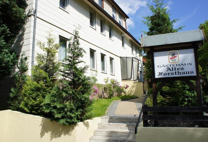 Номер Economy, Altes Forsthaus Braunlage