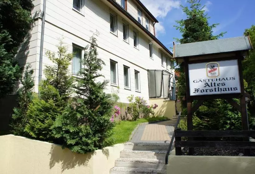 اتاق اکونومی, Altes Forsthaus Braunlage