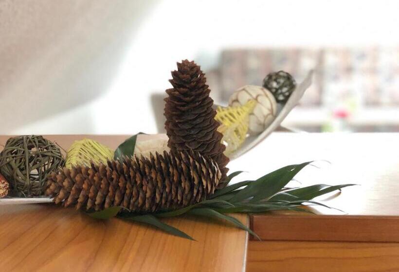 חדר סטנדרט, Kaiser