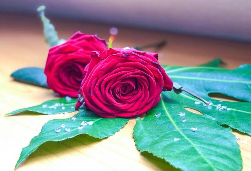 חדר סטנדרט יחיד, Kaiser