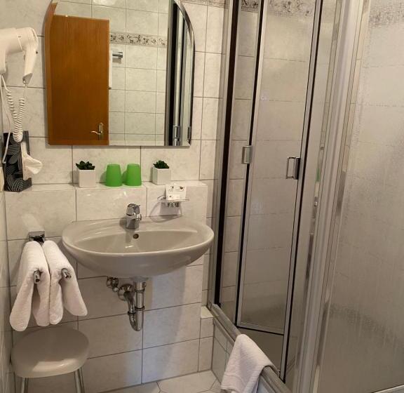 Номер Стандарт Вид на Озеро, Haus Seehang