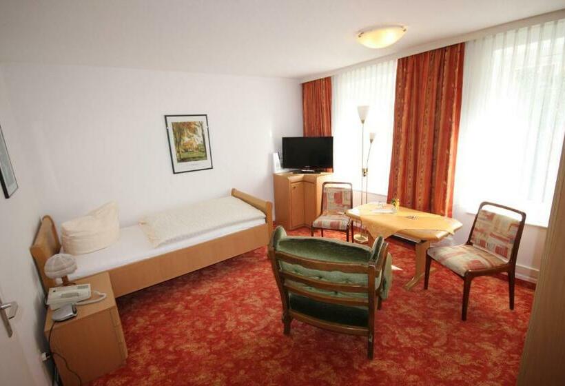 スタンダードシングルルーム, Haus Steinmeyer