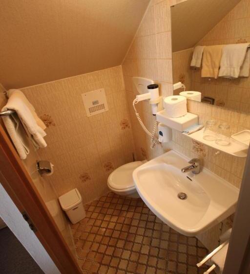 エコノミールーム, Haus Steinmeyer