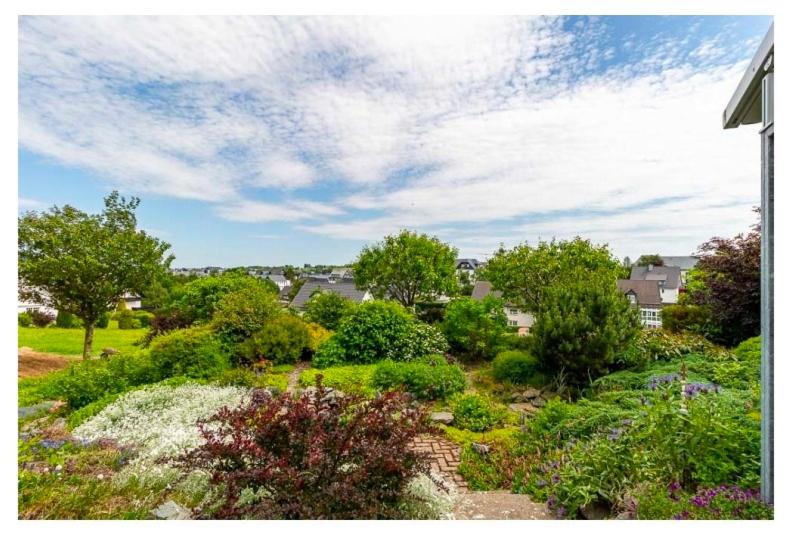 شقة غرفة واحدة مزودة بتراس, Herrloh