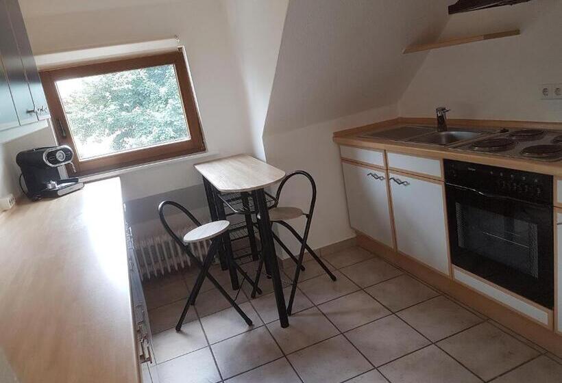 شقة غرفة واحدة, Herrloh