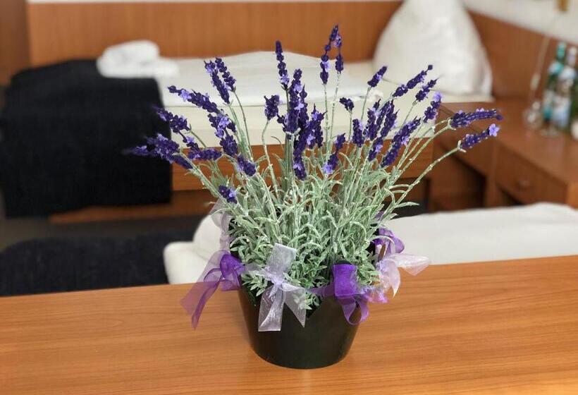 חדר סטנדרט, Kaiser