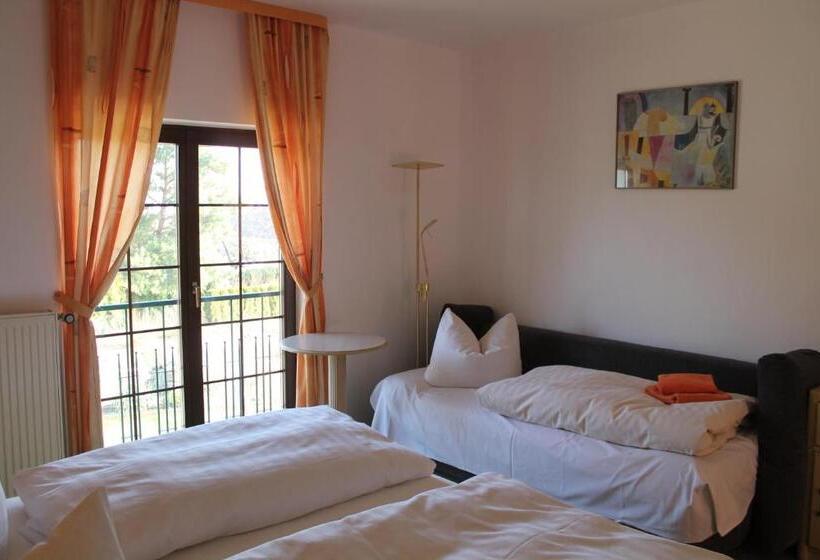 Номер Стандарт Трехместный, Schwartze