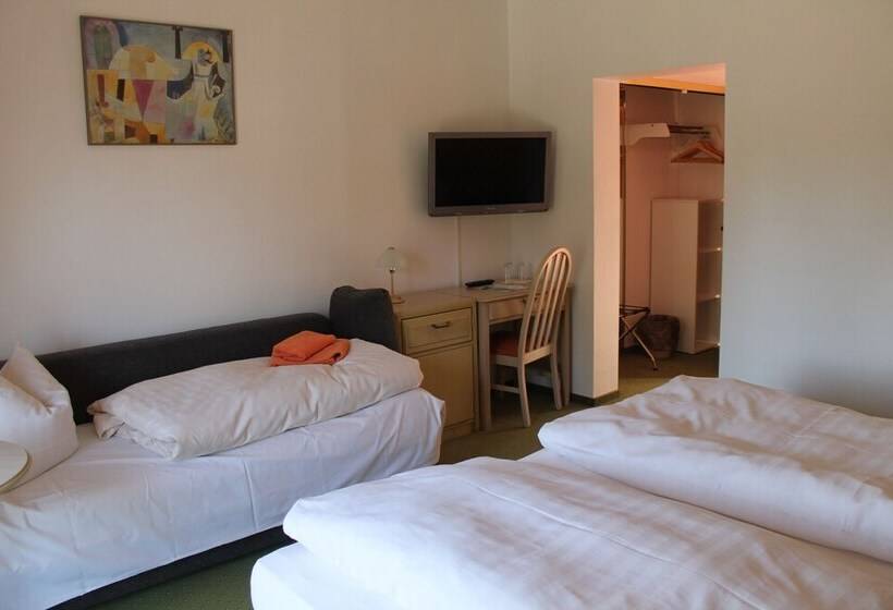 Номер Стандарт Трехместный, Schwartze