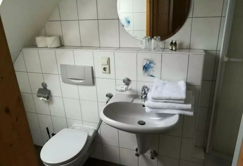 Standard-huone Parveke, Schwarzwaldgasthaus Salenhof