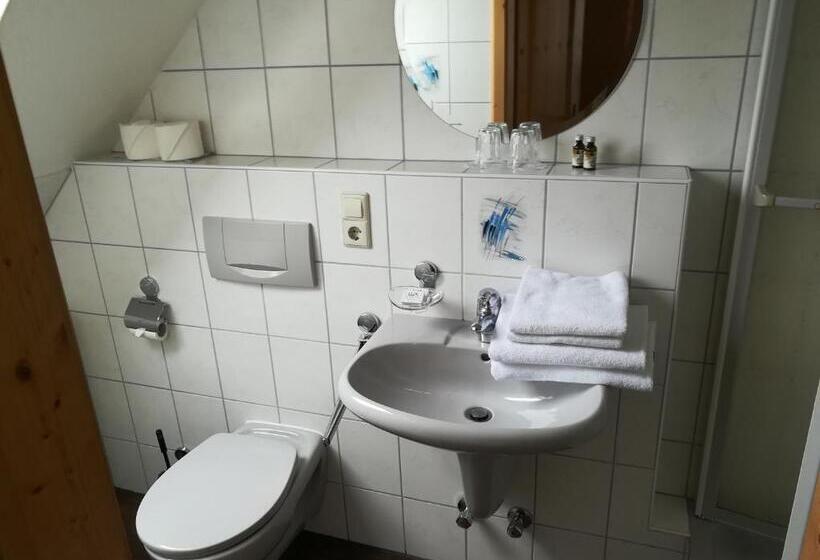 Номер Economy, Schwarzwaldgasthaus Salenhof