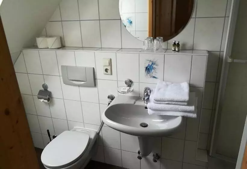 Economy-huone, Schwarzwaldgasthaus Salenhof