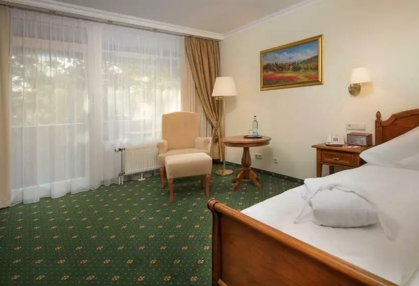 اتاق راحتی یک تخته, Schweizer Hof Thermal Und Vital Resort