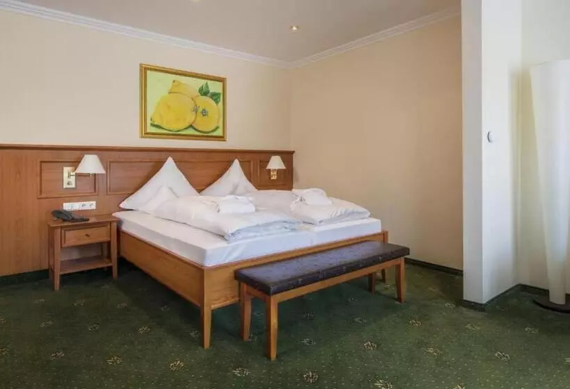 سوییت جونیور لوکس, Schweizer Hof Thermal Und Vital Resort