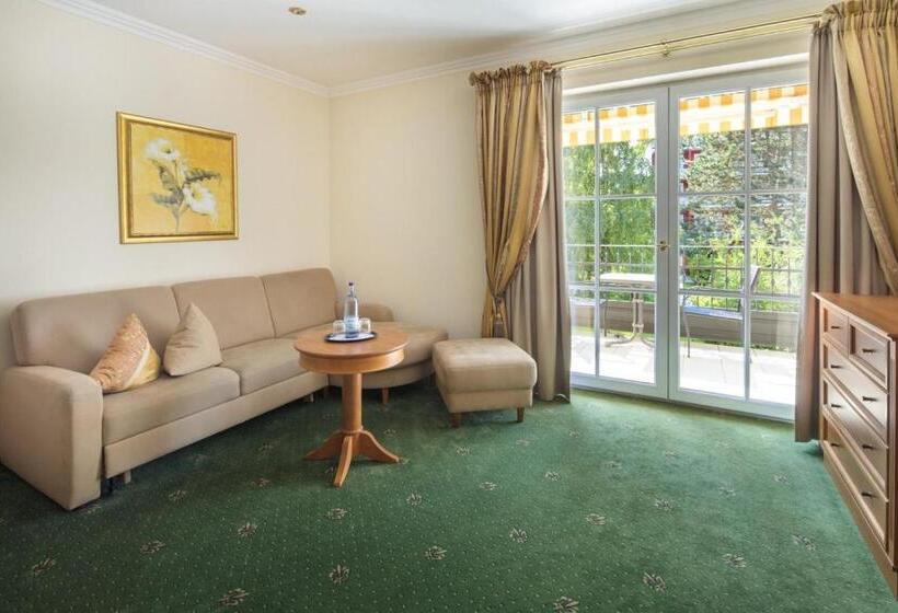 جناح ديلوكس, Schweizer Hof Thermal Und Vital Resort