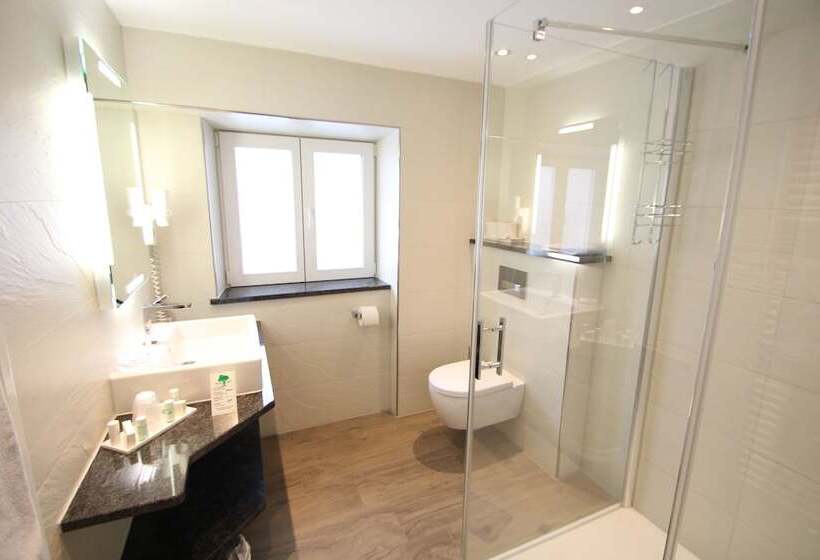 Номер Комфорт Индивидуальный, Seeblick