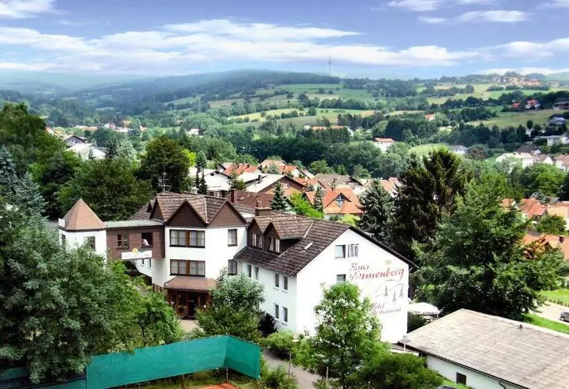 اتاق استاندارد یک نفره, Akzent Hotel Haus Sonnenberg