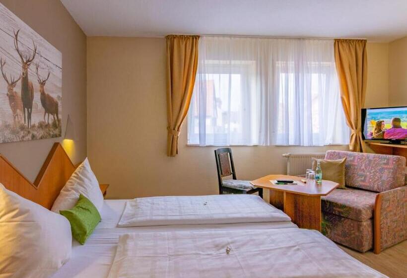 Одноместный Номер Basic, Gasthaus & Hotel Drei Lilien