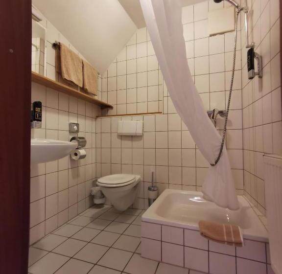 Апартаменты Комфорт 1 Спальня, Gasthaus & Hotel Drei Lilien