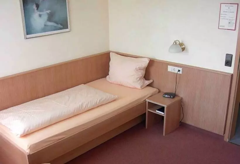 اتاق استاندارد یک نفره, Akzent Hotel Haus Sonnenberg