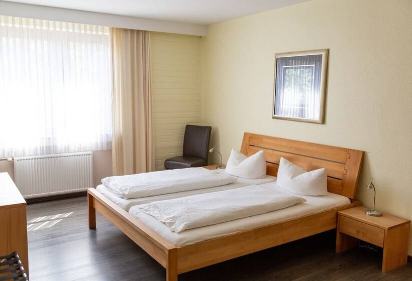 스탠다드 룸, Am Schloss Broich