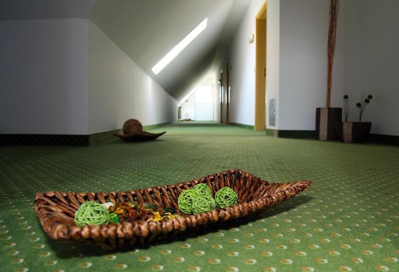 스탠다드 싱글 룸, Antares