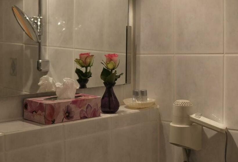 غرفة قياسية فردية, Brunnenhof International