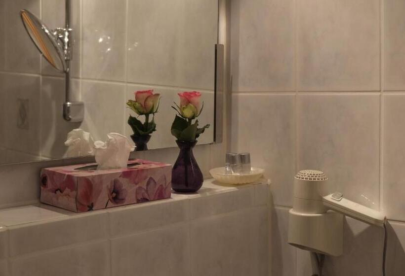 غرفة إدارية فردية, Brunnenhof International