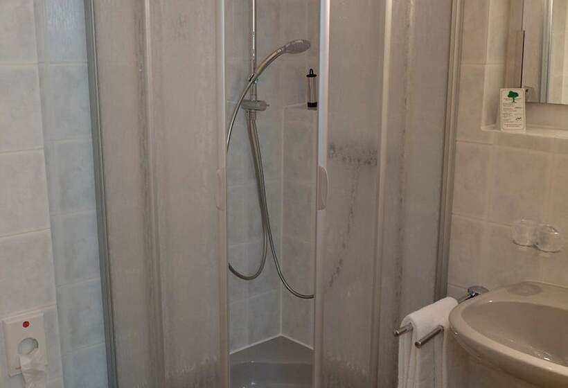 غرفة تنفيذية, Brunnenhof International