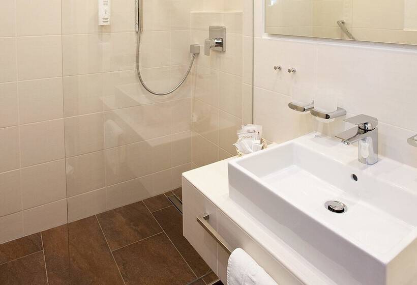Habitació Estàndard, Filser