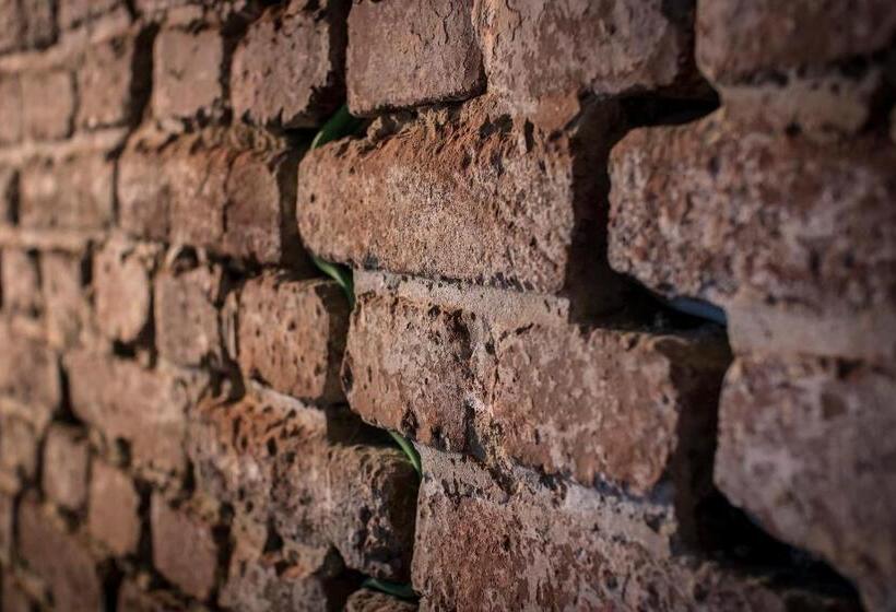 带露台的套间, Kochs Stadt