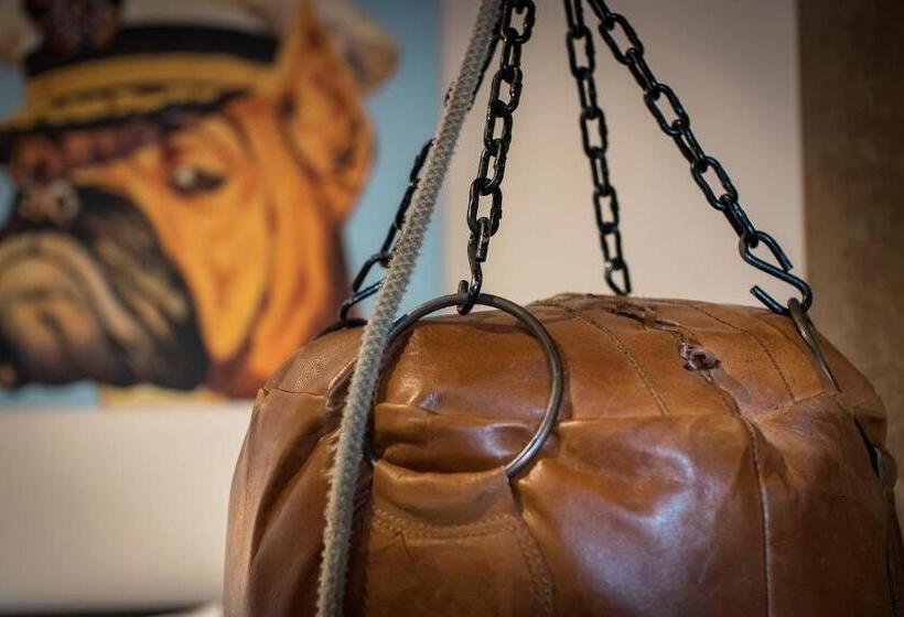 舒适型单人间, Kochs Stadt