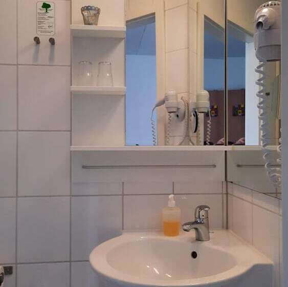 חדר סטנדרט יחיד, Merlin Garni