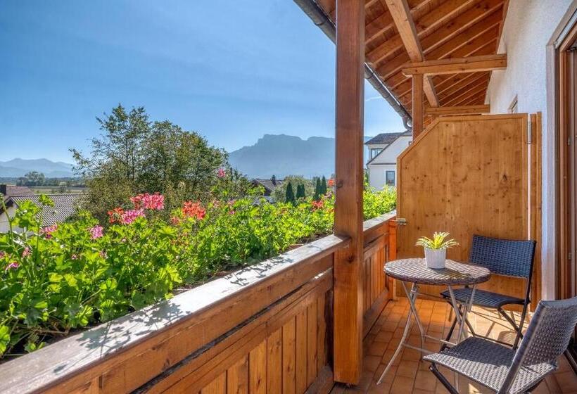 Номер Комфорт, Schaider